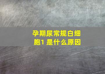 孕期尿常规白细胞1 是什么原因